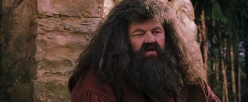 PF-Potterish_09484.jpg