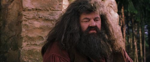 PF-Potterish_09485.jpg