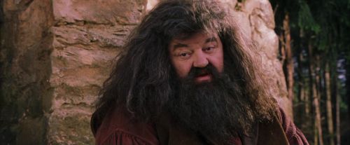 PF-Potterish_09488.jpg