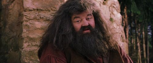 PF-Potterish_09489.jpg