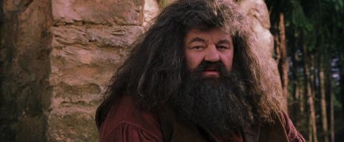 Click to view full size image
==============
PF-Potterish_09494.jpg PF-Potterish_09494.jpg