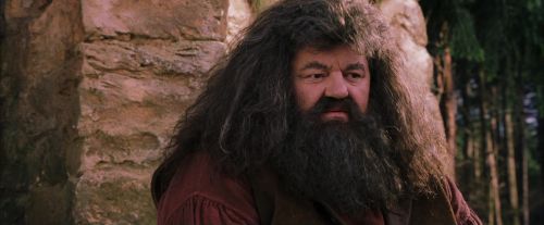 PF-Potterish_09495.jpg