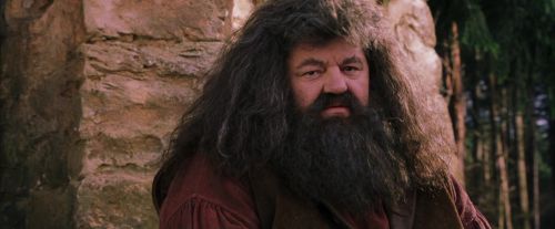 PF-Potterish_09496.jpg