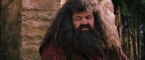 PF-Potterish_09497.jpg