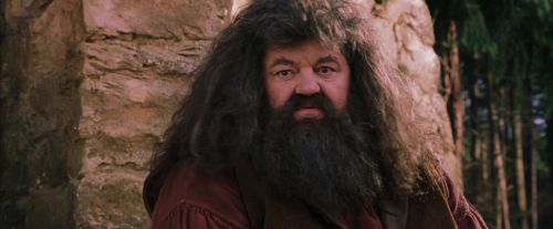 PF-Potterish_09502.jpg