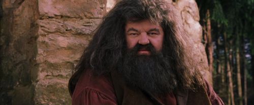Click to view full size image
==============
PF-Potterish_09504.jpg PF-Potterish_09504.jpg