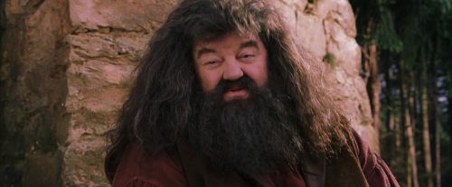 Click to view full size image
==============
PF-Potterish_09506.jpg PF-Potterish_09506.jpg