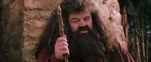 PF-Potterish_09508.jpg