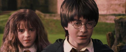 PF-Potterish_09513.jpg
