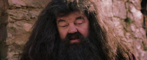 Click to view full size image
==============
PF-Potterish_09516.jpg PF-Potterish_09516.jpg