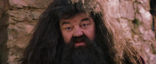 Click to view full size image
==============
PF-Potterish_09517.jpg PF-Potterish_09517.jpg