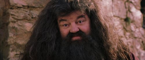 Click to view full size image
==============
PF-Potterish_09519.jpg PF-Potterish_09519.jpg