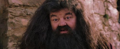 PF-Potterish_09523.jpg