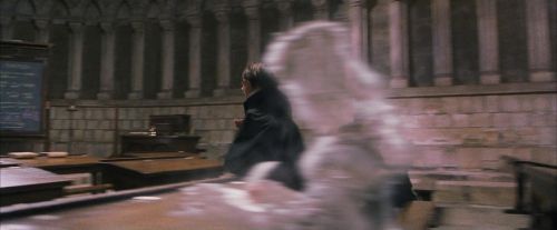 PF-Potterish_09538.jpg