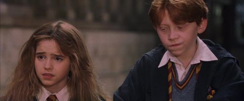 PF-Potterish_09577.jpg