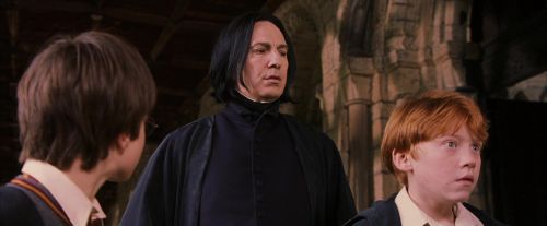 PF-Potterish_09611.jpg