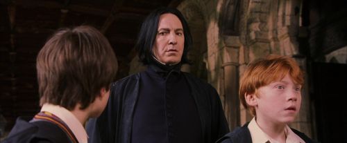 PF-Potterish_09613.jpg