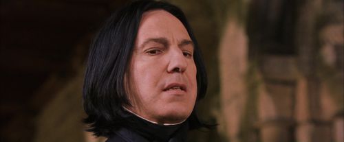 PF-Potterish_09618.jpg