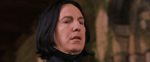 PF-Potterish_09621.jpg