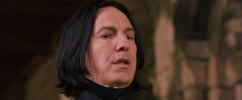 PF-Potterish_09622.jpg