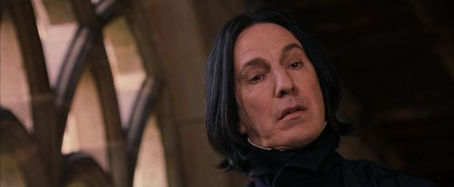 PF-Potterish_09631.jpg