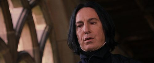 PF-Potterish_09639.jpg