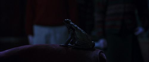 Click to view full size image
==============
PF-Potterish_09696.jpg PF-Potterish_09696.jpg