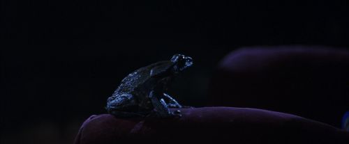 PF-Potterish_09699.jpg