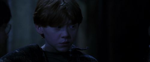 PF-Potterish_09743.jpg
