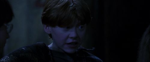 PF-Potterish_09745.jpg
