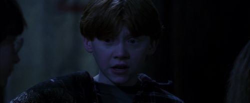 PF-Potterish_09748.jpg