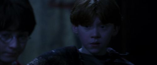 PF-Potterish_09749.jpg