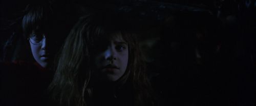 PF-Potterish_09771.jpg