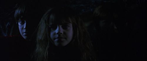 PF-Potterish_09772.jpg