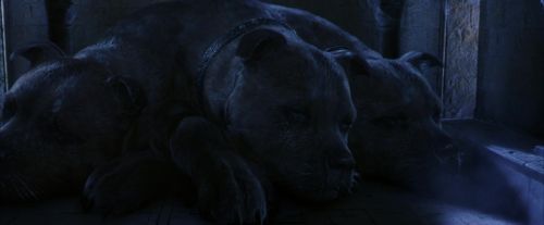 PF-Potterish_09810.jpg
