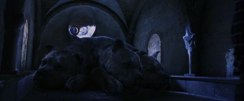 PF-Potterish_09819.jpg
