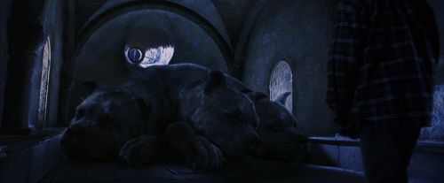 PF-Potterish_09820.jpg