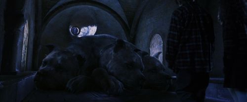 PF-Potterish_09821.jpg