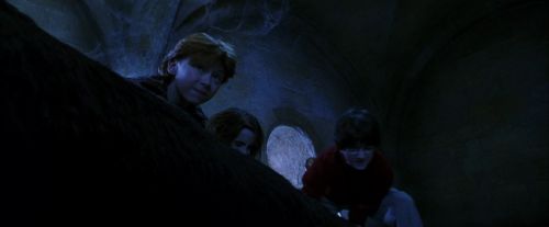 PF-Potterish_09847.jpg