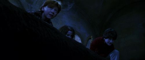 Click to view full size image
==============
PF-Potterish_09848.jpg PF-Potterish_09848.jpg