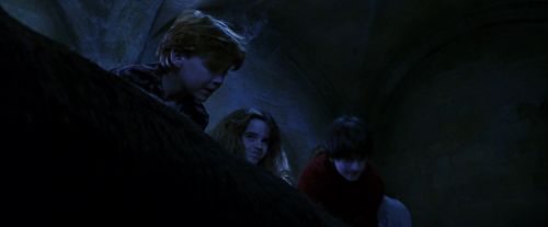 PF-Potterish_09849.jpg