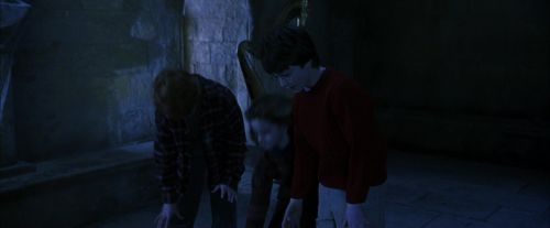PF-Potterish_09864.jpg