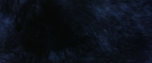 PF-Potterish_09880.jpg