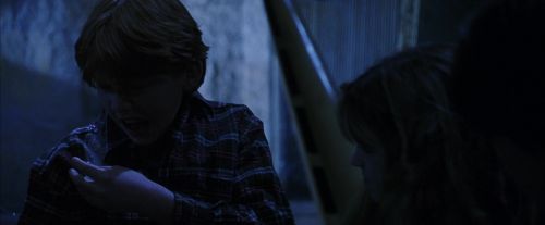 PF-Potterish_09908.jpg