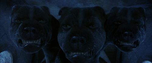 Click to view full size image
==============
PF-Potterish_09918.jpg PF-Potterish_09918.jpg