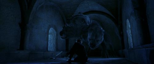 PF-Potterish_09925.jpg