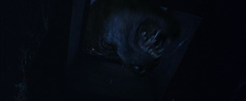 PF-Potterish_09928.jpg