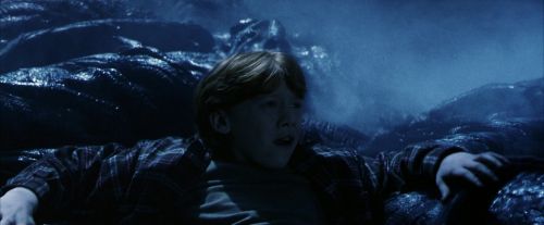 PF-Potterish_09934.jpg