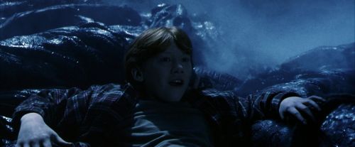PF-Potterish_09935.jpg