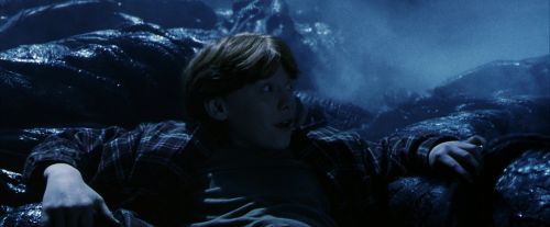 PF-Potterish_09938.jpg